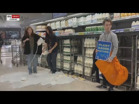 ‘Out of ideas’: Animal Rebellion activists ‘pour milk everywhere’ in stores