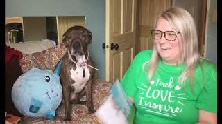 Distance Learning Bloopers 2