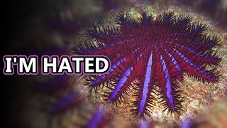 Crown of Thorns Starfish facts: destroyers of the reef (?) | Animal Fact Files