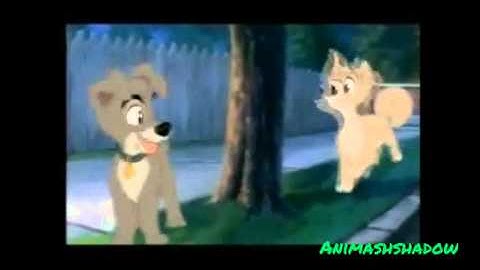 ~♥Animsh MEP part ♥~Perfect