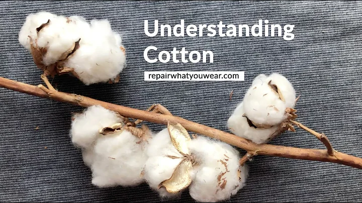 Understanding Cotton