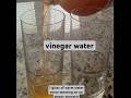 Drinking vinegar water ✅