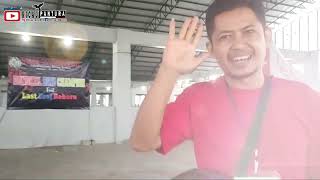 KIMAYA AGATA BERANI BERSAING | DENGAN BURUNG NASIONAL | BURUNG DESA JUGA KUALITAS ... !!!