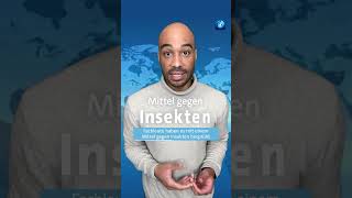 Radioaktive Wespennester In South Carolina Behörden In Den Usa Sehen Keinen Grund Zur Sorge