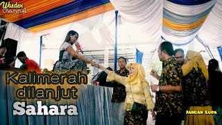 Download Lagu Kalimerah Lanjut Sahara // Nico Entertainment MP3