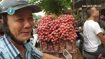 vải lục ngạn hôm nay tắc đường nhưng giá vẫn khá cao 35k ngày 8/6/2023