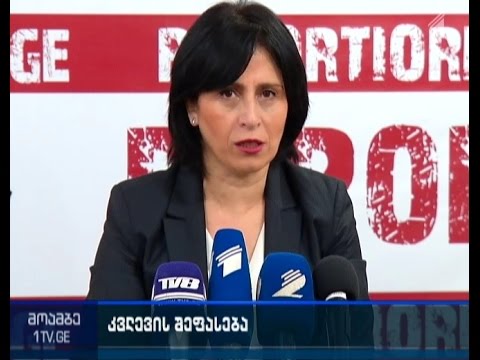 მანანა ნაჭყებიას კომენტარი \"ენ-დი-აის\" ნდობის საკითხზე საუბრობს
