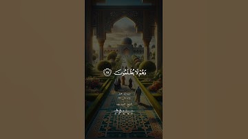 تلاوه رائعه من سوره ال عمران بصوت الشيخ سيد سعيد