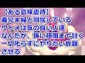 【ある意味虐待】 義兄夫婦と同居しているウトメは気の良い人達なんだが、孫に極限まで甘く、一切叱らずにやりたい放題させる