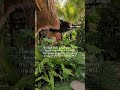 I wish my people could experience this life with me at times. I miss them 💖