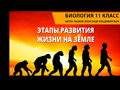 Этапы развития жизни на Земле