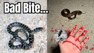 Snakes Every 5 Seconds... INCREDIBLE Everglades Snake Hunting! Herping 2025|