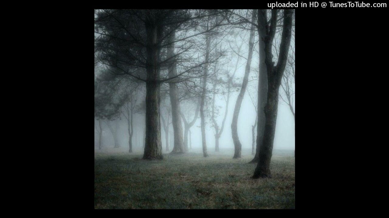 *free* ambient plugg + izaya tiji type beat (prod. jager)