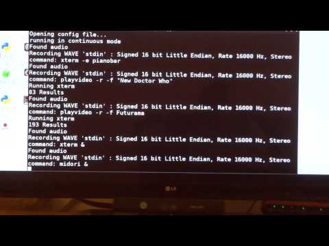 Voice Controlled Raspberry Pi (Full Demo)