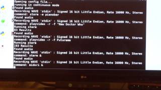 Voice Controlled Raspberry Pi (Full Demo)
