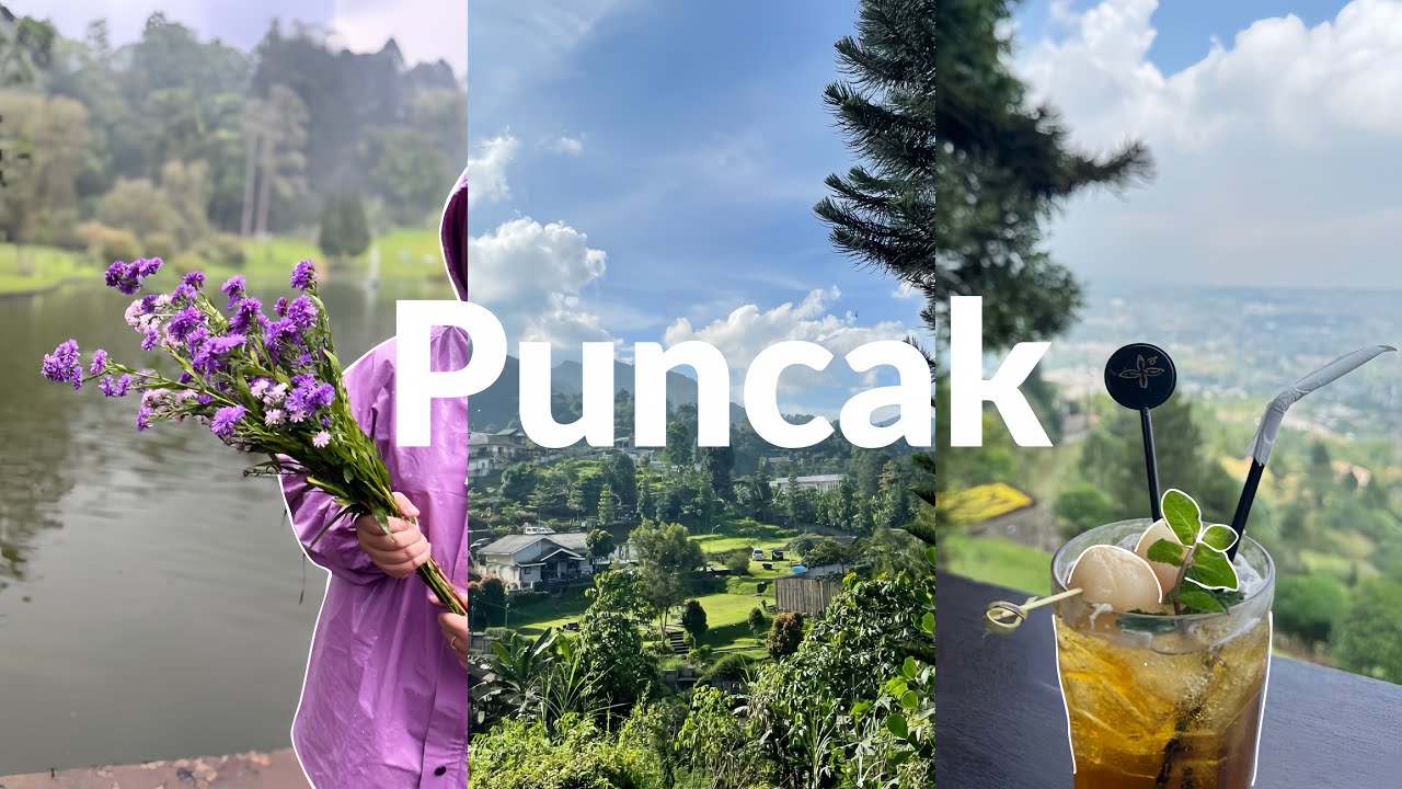 أسبوع ممتع في إندونيسيا بونشاك 🇮🇩✈️