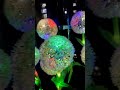 Colorful Solar Green Onion Lights – A Beautiful Glow for Every Flower 🌿✨#foryou #decorlighting