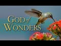 God of Wonders (2008) | Full Movie | John Whitcomb | Dan Sheedy | Don B. DeYoung
