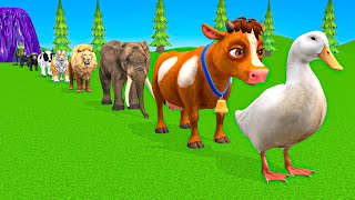 Download Lagu New Long Slide Game with Cow Elephant Gorilla Hippopotamus Tiger 3d Animal Game Funny 3d Animals MP3 Download Lagu New Long Slide Game with Cow Elephant Gorilla Hippopotamus Tiger 3d Animal Game Funny 3d Animals MP3