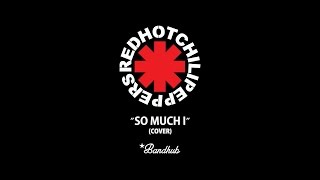 Ivanwebstudio Bandhub Friends Rhcp - So Much I Cover