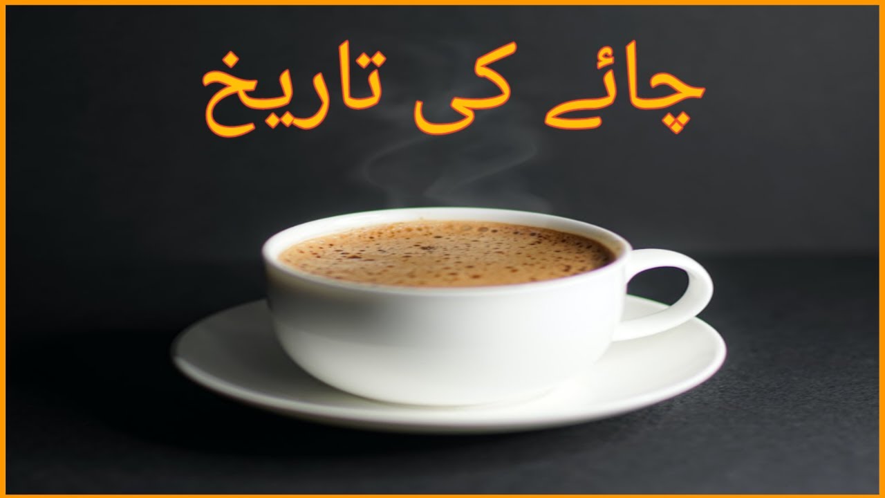 Short History of Tea In Urdu Hindi