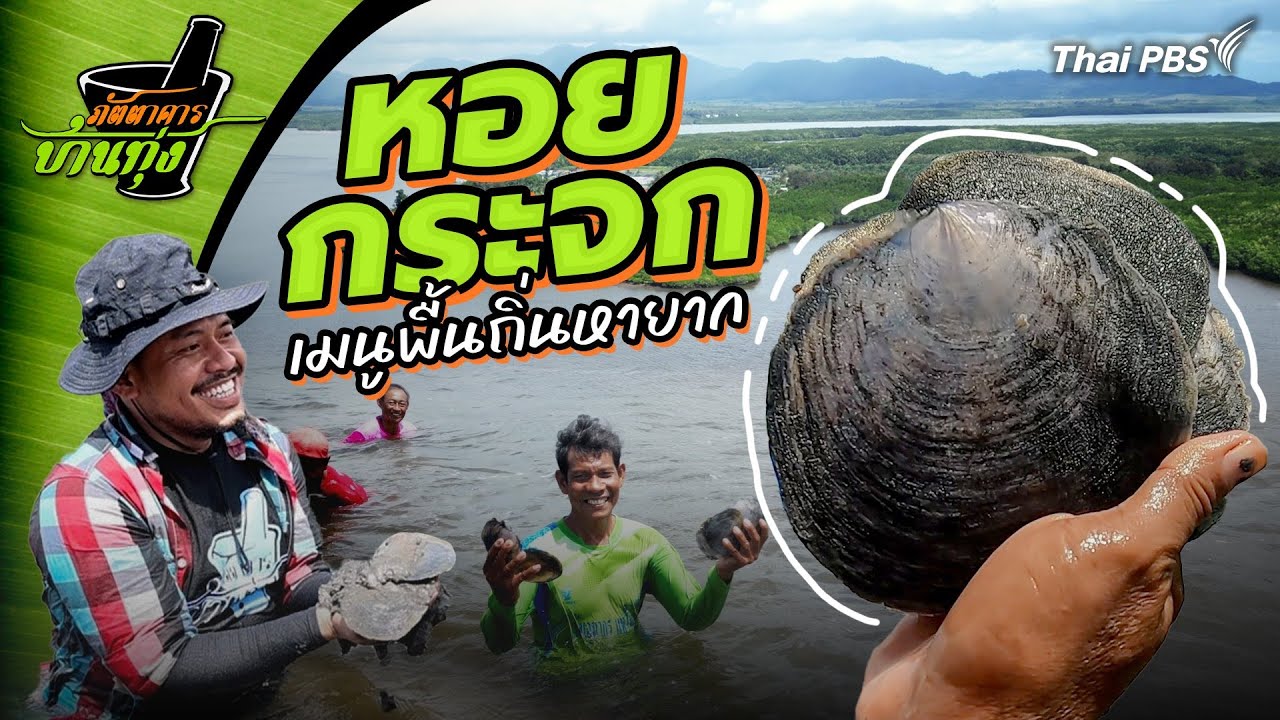 หอยกระจก | ภัตตาคารบ้านทุ่ง