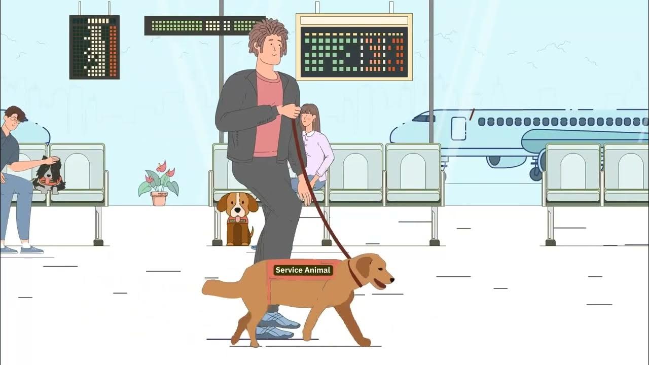 How to fly with your pet or Emotional Support Animal? Travelling with