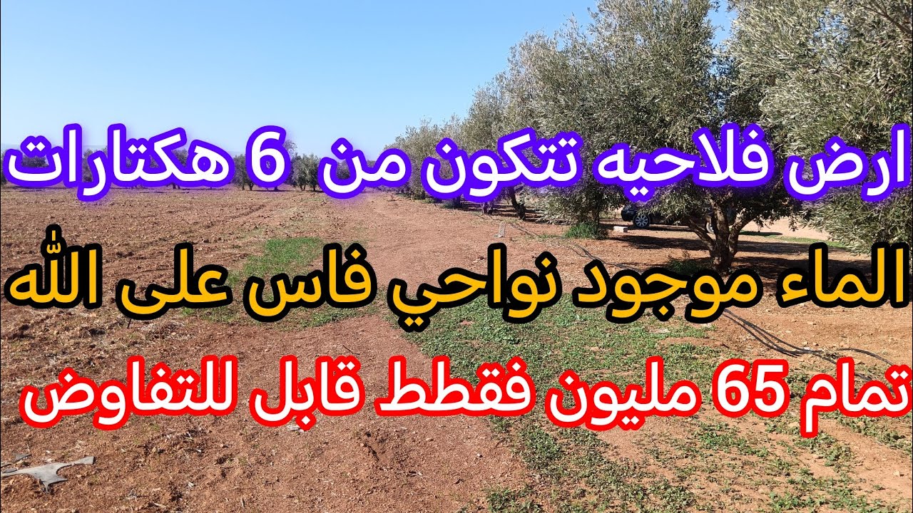 ارض فلاحيه تتكون من سته هكتارات نواحي فاس عين الله تتر محفظ ما موجود ثمن 65 مليون الهكتار 