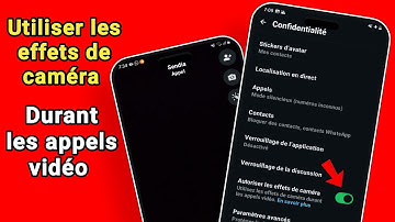 Comment mettre des filtres sur vos appels vidéo WhatsApp facilement | 11k |