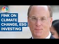 BlackRock CEO Larry Fink on climate change and ESG investing