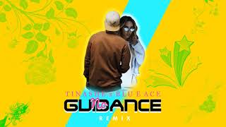 Tinashe x Blue Ace - No Guidance (Remix)