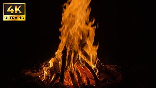 Fireplace 4K (LIVE 24/7) | Relaxing Fireplace with Burning Logs and Crackling Fire Sounds