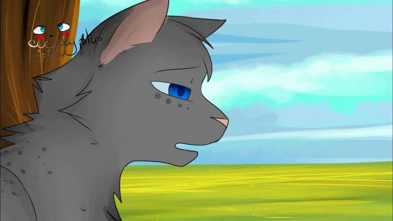 Коты воители картинки бич и кровоцапка