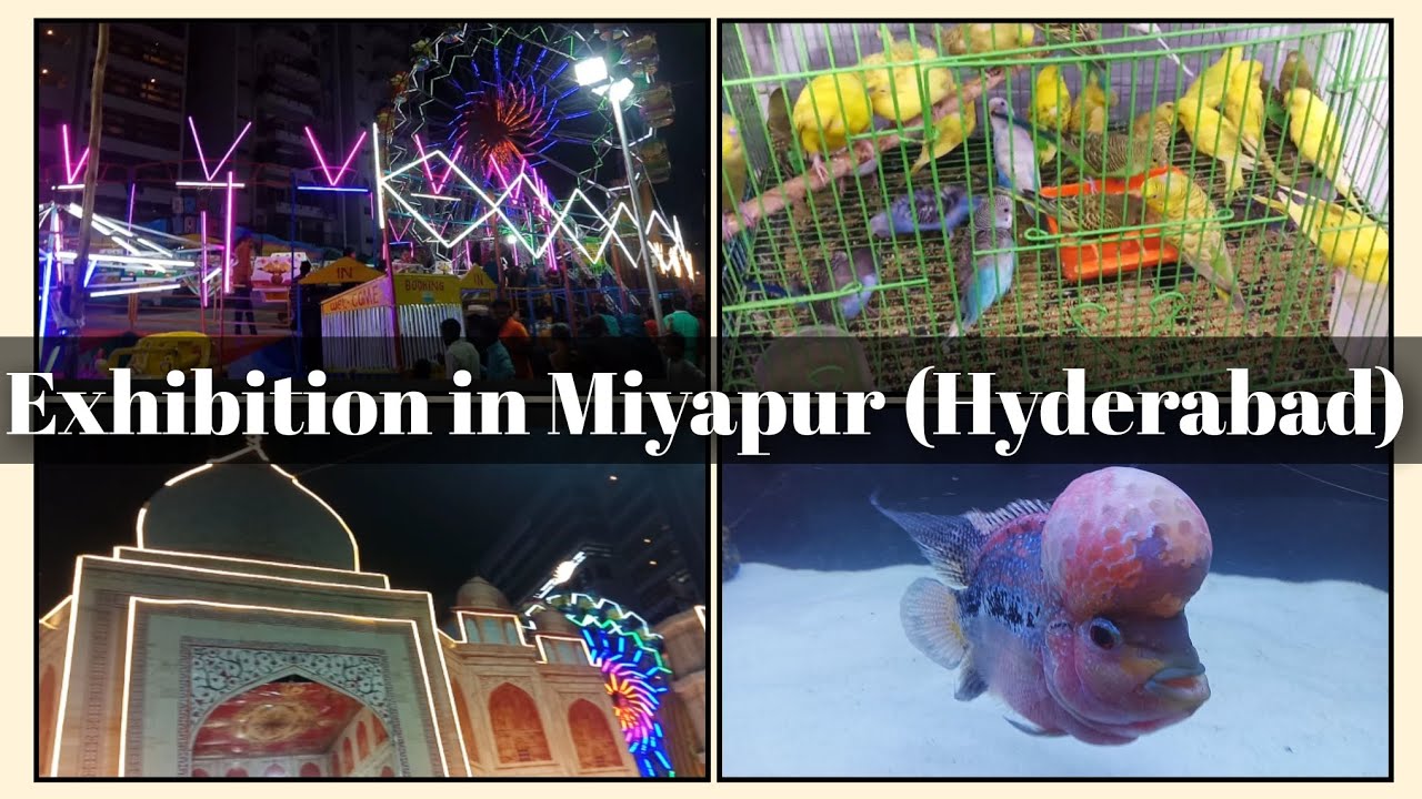 exhibition in miyapur (Hyderabad) fair exhibition hyderabad YouTube