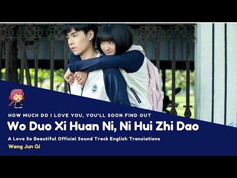 Wo Duo Xi Huan Ni, Ni Hui Zhi Dao - Wang Jun Qi - Eng Lyrics