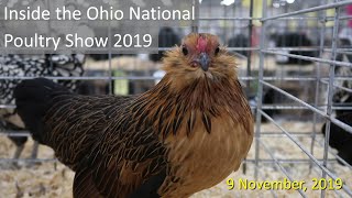 Inside the Ohio National Poultry Show 2019