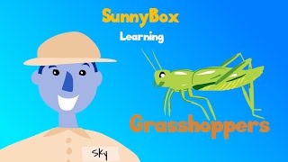 Grasshoppers - SunnyBox Learning screenshot 4