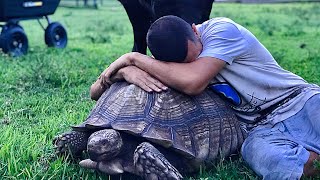 HUGS with GIANTS!! (I like turtles)
