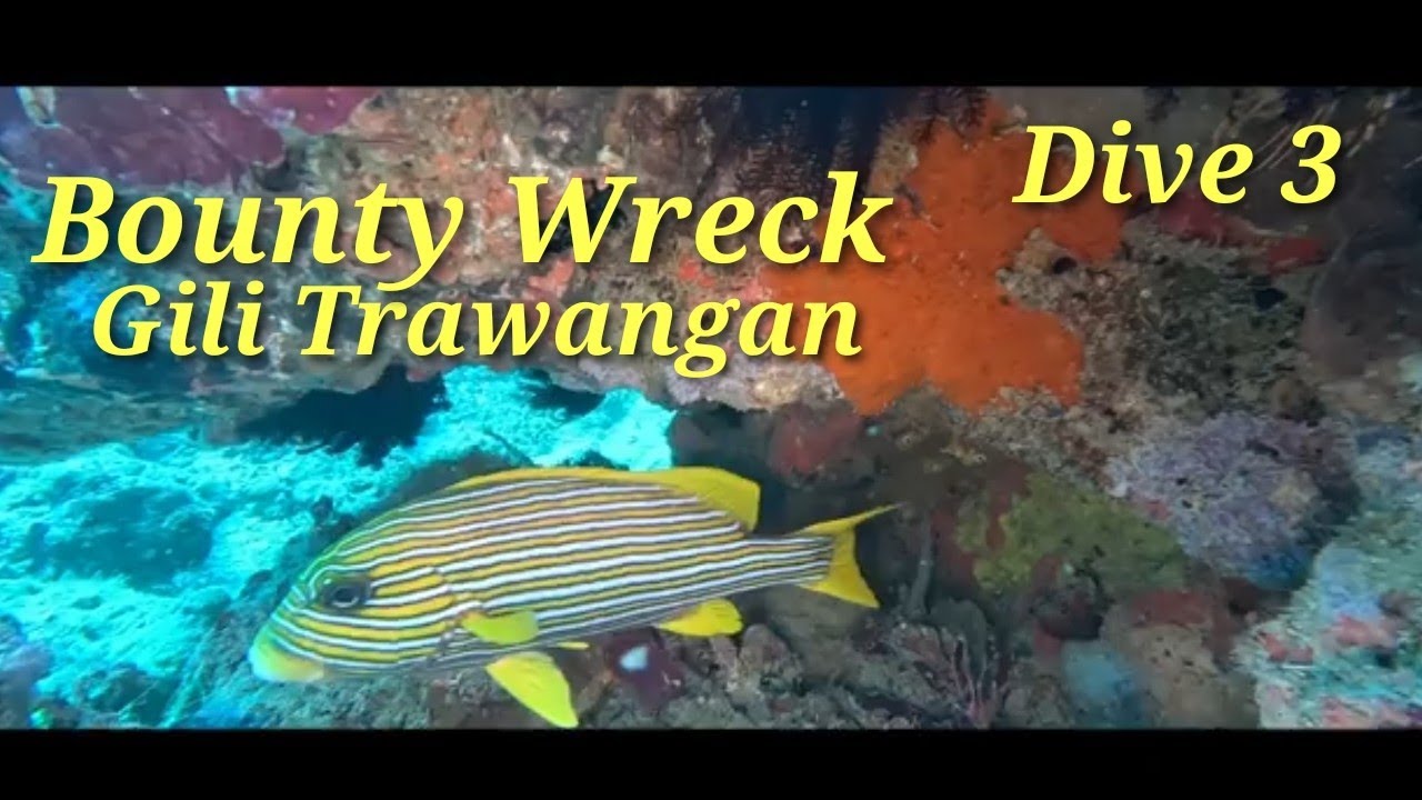 Diving Bounty Wreck | Strong Currents in Gili T with Mango Dive. Dive 3