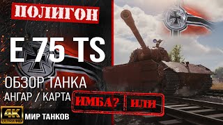 Обзор E 75 TS гайд тяжелый танк Германии | перки Е 75 ТС | бронирование e 75 ts оборудование