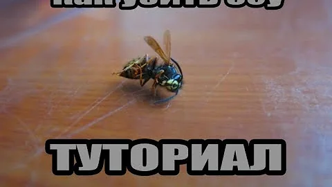 Тутор для Влады | Как убить осу | Или мое убийство в 4 утра
