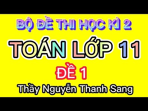 Đề thi toán 11 học kì 2 có đáp án | Toán 11_Đề Thi Học Kì 2 Môn Toán Lớp 11 Năm 2021 (Đề 1)