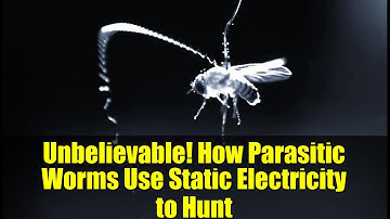 Unbelievable! How Parasitic Worms Use Static Electricity to Hunt