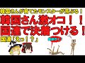 【ゆっくり解説】韓国さんが育てモンスターが増長！激オコで国連で決着をつける！だそうです。あーあ、やっちゃいましたね
