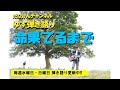 【ゆず弾き語り!151曲目!】命果てるまで