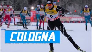 BEST OF DARIO COLOGNA!