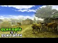        bangladesh village raw footage and village life