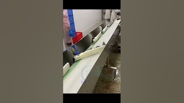 fish grading, fish sizing, fish sorting, weight grading, weight sizing, weight sorting, #fishmachine
