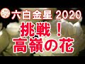 【2020年】六白金星の運勢：挑戦！高嶺の花。イメージした理想をゴールに設定して、予想以上の未来へ！