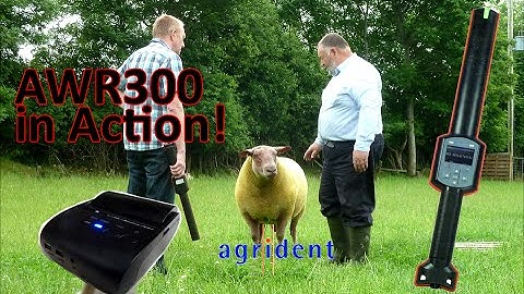 Agrident AWR300 in action - reading tags, setting alerts, printing